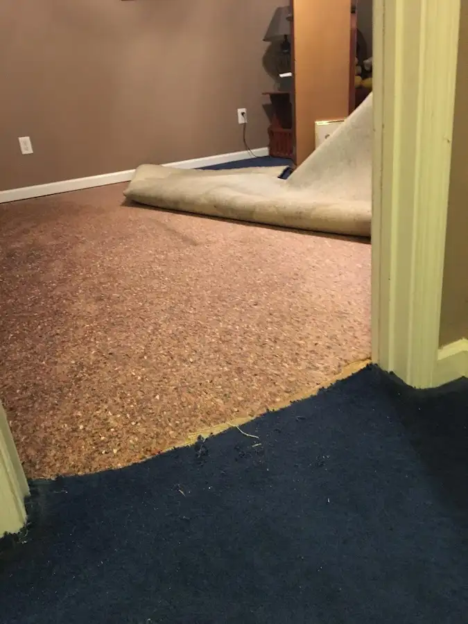 Carpet pad removal revealing water damage during Water Mitigation Services in Stanford
